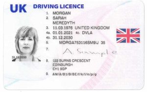 buy driving license without test